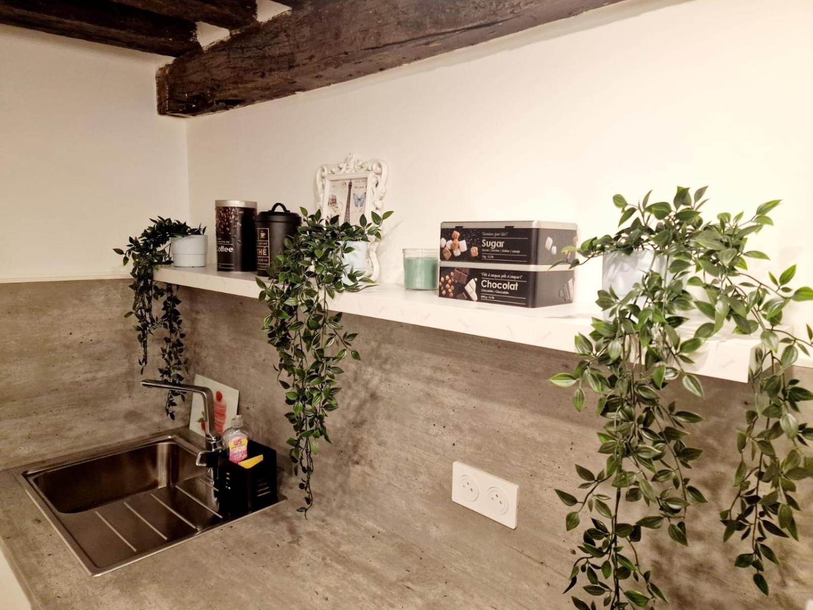 Appartement Au Coeur Du Paris. מראה חיצוני תמונה