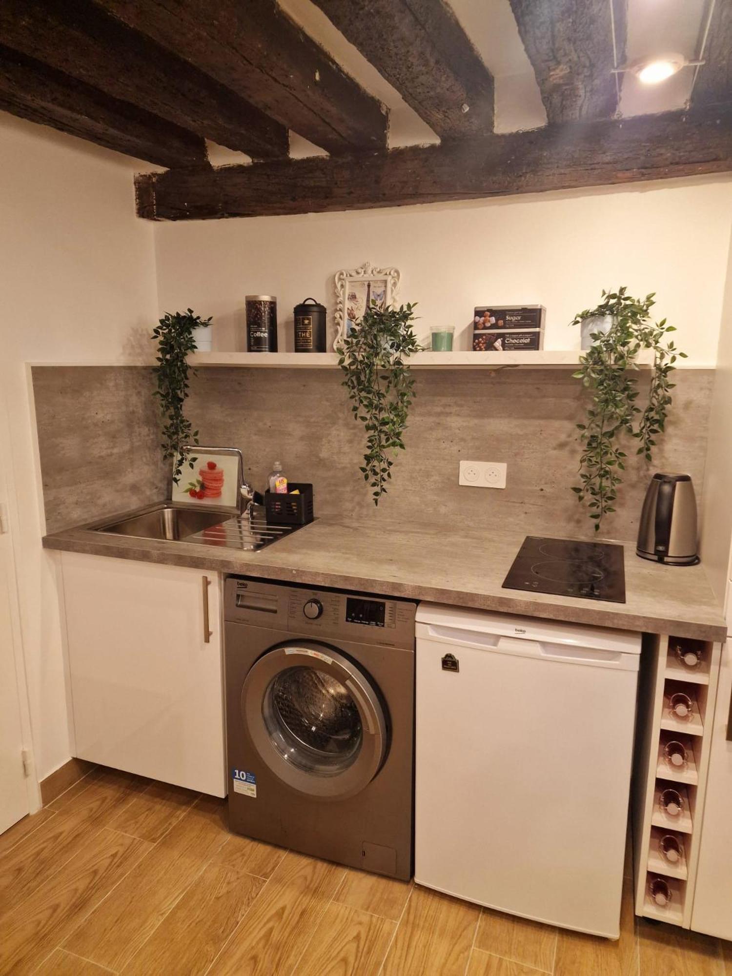 Appartement Au Coeur Du Paris. מראה חיצוני תמונה